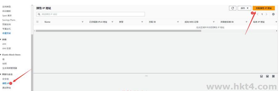 亞馬遜ec2配置ip