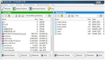 動態ip撥號vps