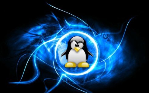 主機(jī)如何安裝linux操作系統(tǒng)