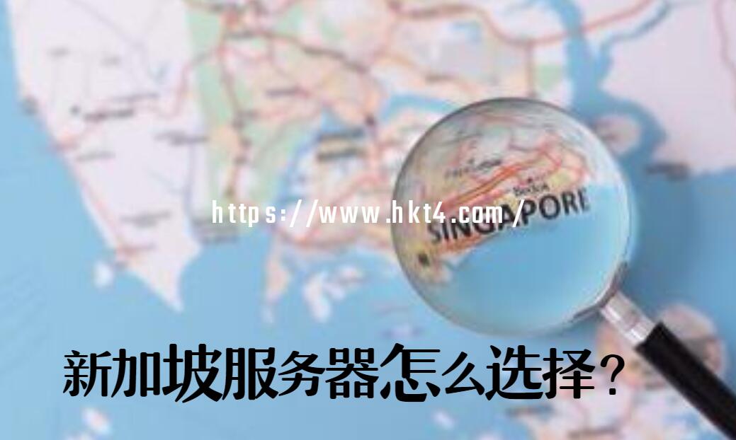 怎么選擇新加坡服務器？
