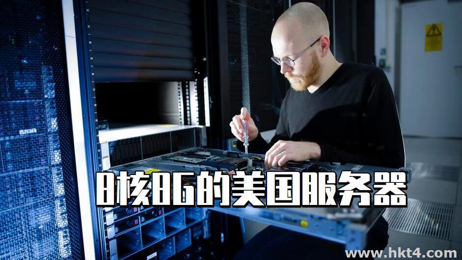 20M帶寬8核8G的美國服務(wù)器