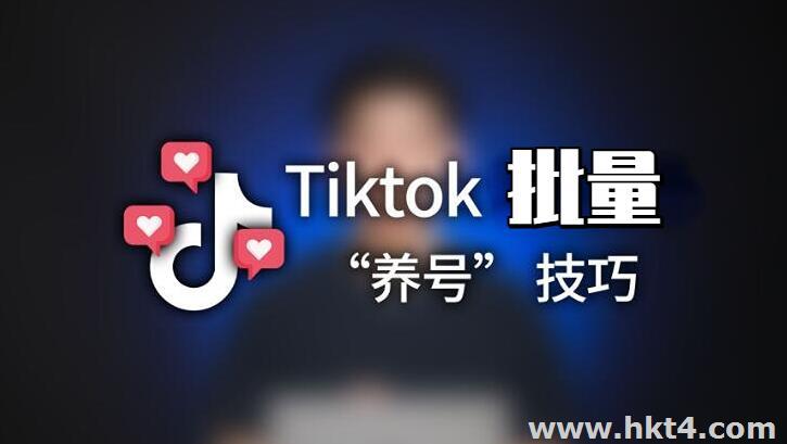 tiktok多ip服務(wù)器批量養(yǎng)號